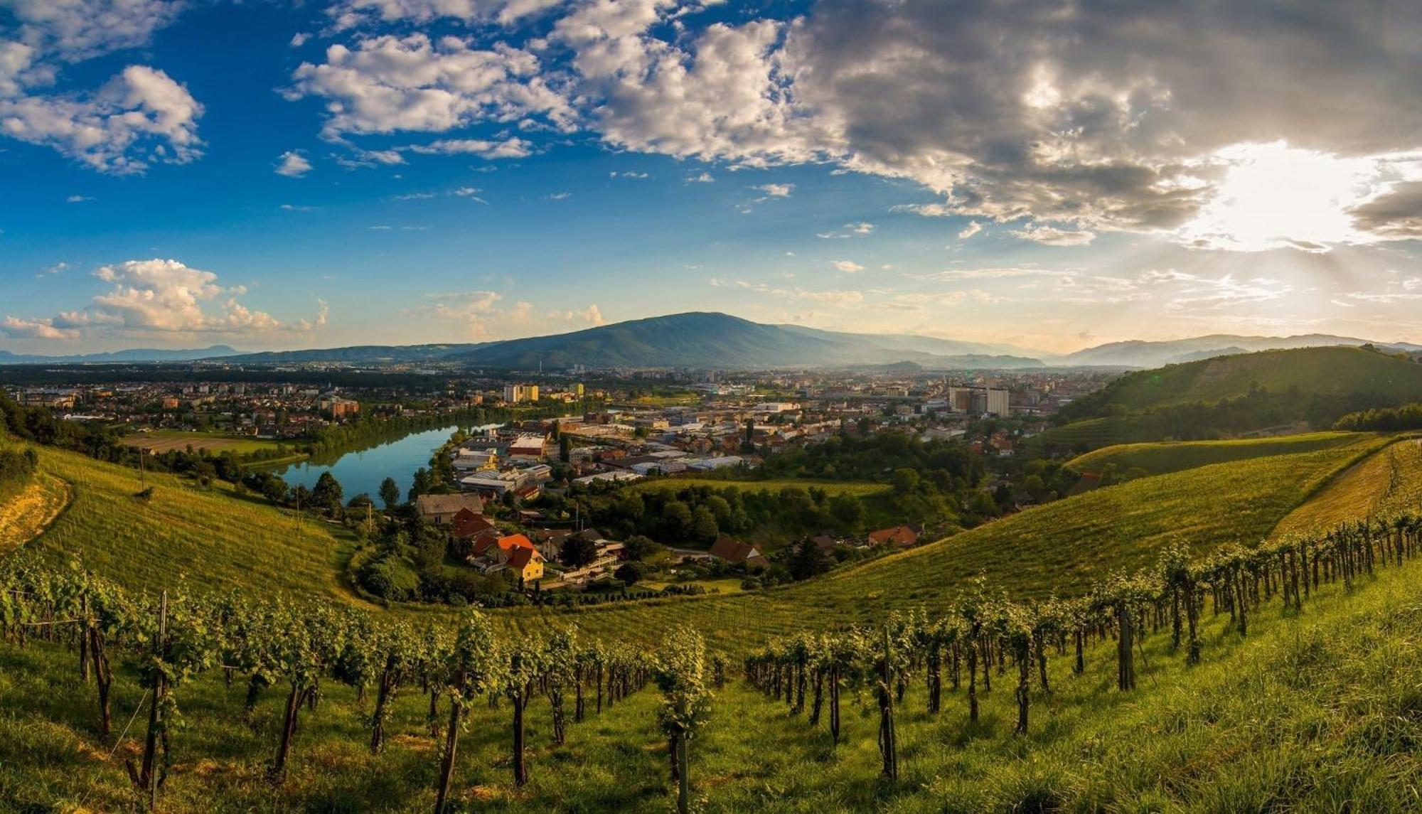 Kavenija Apartmaji - Free Parking Maribor Eksteriør billede