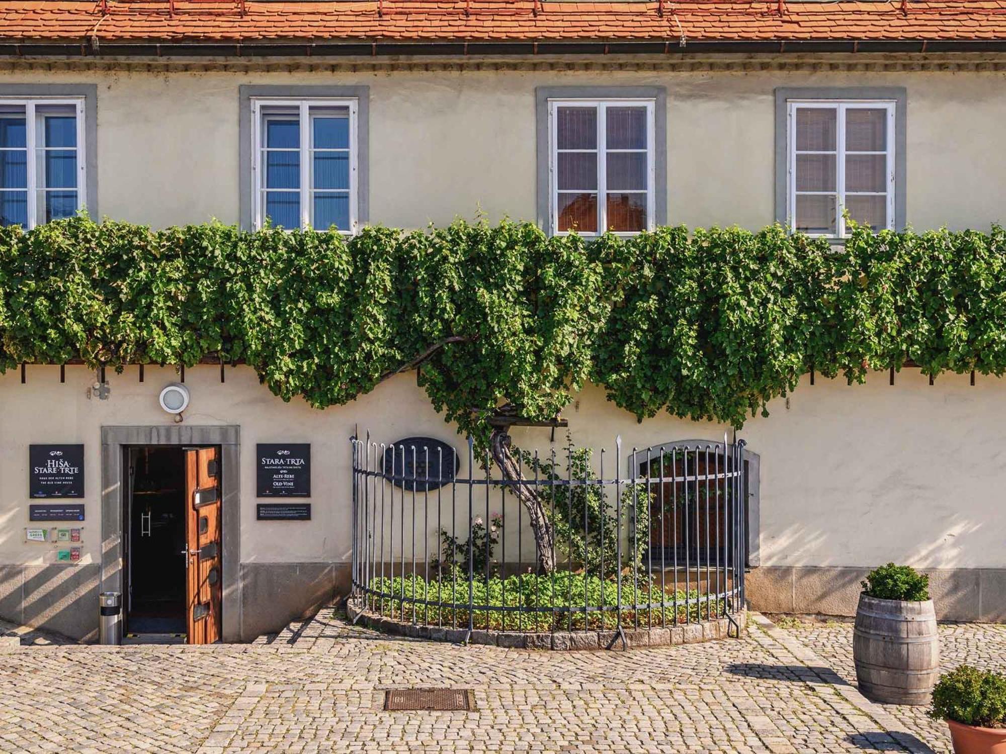 Kavenija Apartmaji - Free Parking Maribor Eksteriør billede